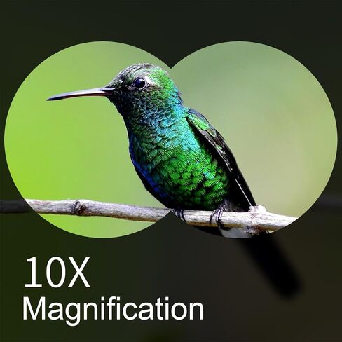 10x50 Binoculars for Adults High Powered with HD Optical System, Non-Slip Grip, Waterproof, Shockproof, Low Light Vision for Bird Watching Hunting Football Games Travel Stargazing Cruise in Saudi Arabia