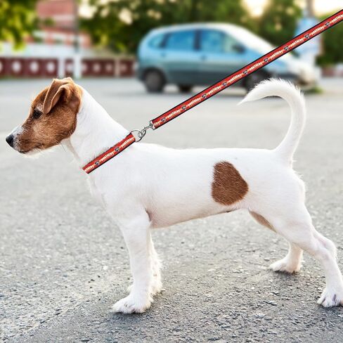 NHL PET Leash Edmonton Oilers Dog Leash, Large Hockey Team Leash for Dogs & Cats. A Shiny & Colorful Cat Leash & Dog Leash Licensed by The NHL in Saudi Arabia