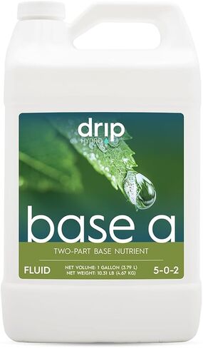 Base A 5 Gallon in Saudi Arabia