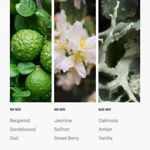 | Bonbori Pro-Pod Oil Blend | Luxury Hotel Inspired Aromatherapy Scent Diffuser Oil | Bergamot, Jasmine and Rose 1.7 fl oz 50 mL in Saudi Arabia
