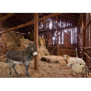 7X 5ft Old Barn Nativity Backdrop Straw Hay Farmhouse Backdrop Western Farm Nativity of Jesus Hayloft Scene Backdrop Newborn Baby Theme Old Wooden Barn Photo Props