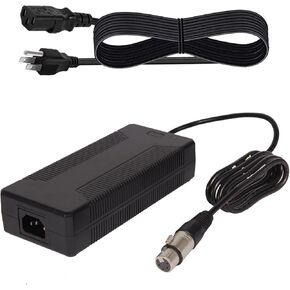 16V 10A 160W Power Supply XLR 4 Pin Female AC DC Power Supply Adapter for Sony F55 Panasonic GH4 Blackmagic,Canon C500 MKII / C700