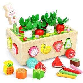 Toddler Wooden Montessori Toys: Educational Toy for 1 2 3 Year Old Boy Girl Birthday Gift - Shape Sorters Fine Motor Skill Games