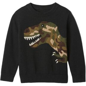 GAP Baby Boys' Intarsia Sweater