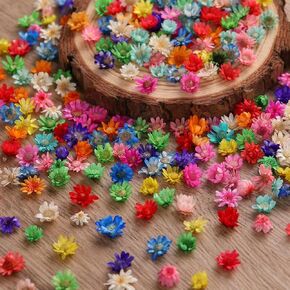 420Pcs Dried Flower for Crafts, Mini Dried Flowers for Resin, Tiny Natural Real Dried Pressed Flowers Bulk for DIY Jewelry Earrings Epoxy Molds, Candles Soap Making