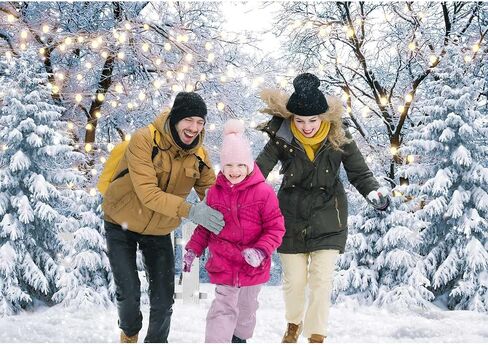 7x5FT Blue Winter Forest Scene Photography Backdrop Wonderland Snowflake Landscape Background for Christmas Xmax Family Holiday Party Decorations Supplies Banner Picture Photo Studio Props in Kuwait