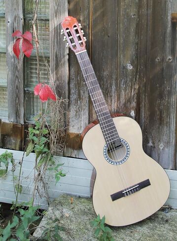 GEWA Classical Guitar BASICPLUS 4/4، جيتار الأطفال (أعلى شجرة التنوب، ظهر وجوانب خشب الزيزفون، طلاء طلاء عالي اللمعان، حنق فضي من النيكل، موالفات مطلية بالكروم، مثالية للأطفال من سن 12 عامًا فما فوق) in Kuwait