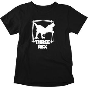 Three Rex - Toddler Clothes - 3 Years Old Birthday Tshirt Funny Outfit Cute Dinosaur Shirt