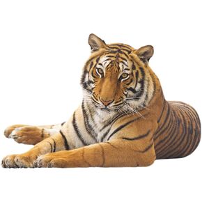 Boodecal Lying Tiger Jungle Safari Animal Kids Room Decor Sticker Peel & Stick Vinyl Art Decoration Boys Girls Toddler Teen Birthday Party Gift 22.4 in x 15.3 in