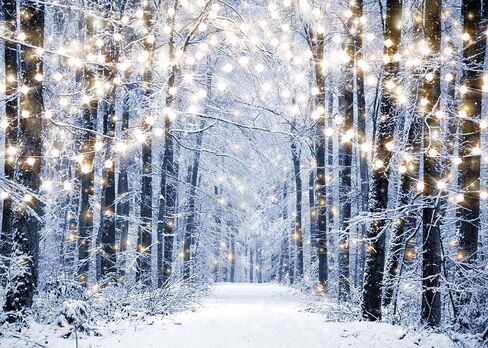 Avezano Winter Backdrop for Photoshoot Snowy Forest Christmas Holidays Party Decorations Winter Landscape Photography Background for Kids New Year Portrait Photo Booth Props(7x5ft) in Saudi Arabia