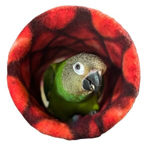 Comfy Handmade Fleece Lined Bird Hut, Parrot Tent, Parakeet Tunnel for Conures, Lovebirds, Quakers, Budgies, and Cockatiels (Rainbow)