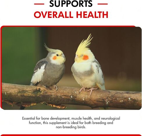 Morning Bird Calcium Plus Liquid 2 Fl Oz - Wellness and Breeding Support in Kuwait