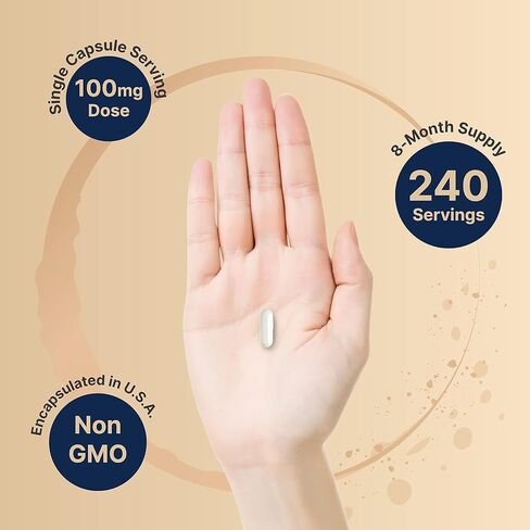 NatureBell DHEA 25mg, 300 Capsules | Micronized Grade for Better Absorption – Plant-Based DHEA Source – Supports Energy Levels & Healthy Aging for Men and Women – Non-GMO in Saudi Arabia