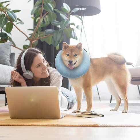 طوق كلب كبير قابل للنفخ، طوق مخروطي ناعم للكلاب بعد الجراحة، طوق كلب مخروطي للكلاب والقطط الصغيرة والمتوسطة والكبيرة - أزرق، كبير in Kuwait