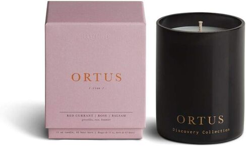 Vancouver Candle Co. Silentium Discovery Candle – Non-Toxic Soy Wax Aromatherapy Candle – Handmade with Natural Essential Oil – Strong Scented, Long Lasting 10 Ounce Jar Candle with Gift Box in Saudi Arabia