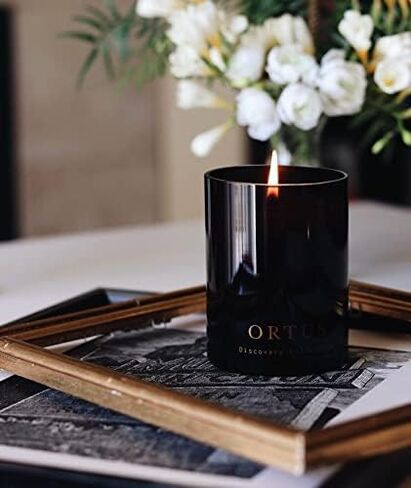 Vancouver Candle Co. Silentium Discovery Candle – Non-Toxic Soy Wax Aromatherapy Candle – Handmade with Natural Essential Oil – Strong Scented, Long Lasting 10 Ounce Jar Candle with Gift Box in Saudi Arabia