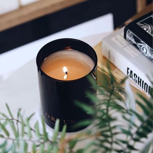 Vancouver Candle Co. Silentium Discovery Candle – Non-Toxic Soy Wax Aromatherapy Candle – Handmade with Natural Essential Oil – Strong Scented, Long Lasting 10 Ounce Jar Candle with Gift Box in Saudi Arabia