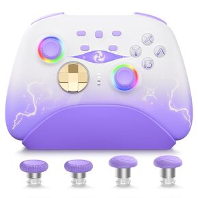 Mytrix Switch Pro Controller with Charging Dock, Wireless Controllers for Nintendo Switch/Lite/OLED with Hall Effect Joystick/Trigger, RGB Lighting, Turbo/Macro Button, for PC, iPad - Raiden Design