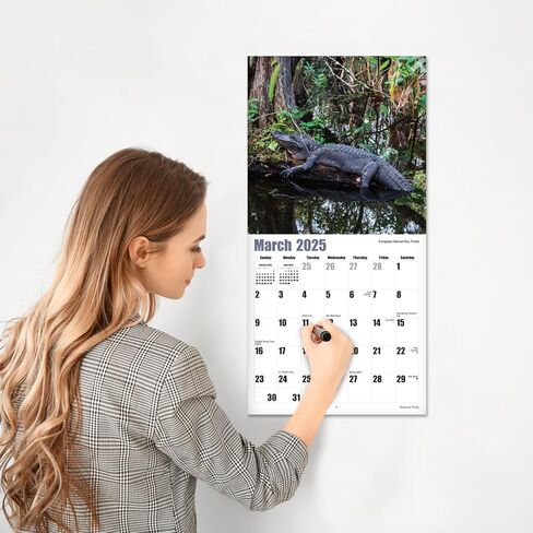 RED EMBER Scenic Escapes 2025 تقويم حائط شهري قابل للتعليق | 12 بوصة × 24 بوصة مفتوح | ورق سميك وقوي | هدية | سفر الطبيعة الجميلة in Kuwait