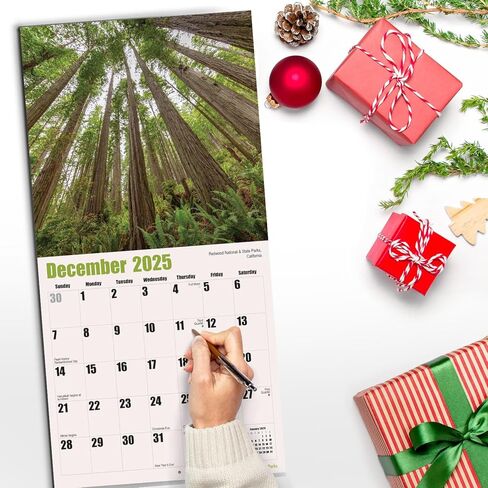 RED EMBER Scenic Escapes 2025 تقويم حائط شهري قابل للتعليق | 12 بوصة × 24 بوصة مفتوح | ورق سميك وقوي | هدية | سفر الطبيعة الجميلة in Kuwait