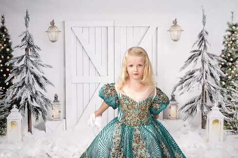 Kate 10x6.5ft Christmas Backdrop Winter Snow Tree Backdrops for Photography White Barn Door Kids Holiday Background Studio Props in Saudi Arabia