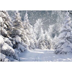Dudaacvt 7x5FT White Winter Forest Scene Photography Backdrop Wonderland Snowflake Landscape Background for Christmas Xmax Family Holiday Party Decorations Supplies Banner