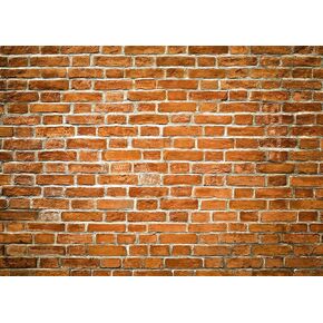 SJOLOON Backdrops for Photoshoot Red Brick Wall Backdrop Birthday Party Decoration Banner Studio Props Brick Backdrop for Photography 11872 (7x5FT)