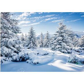 Winter Snow Forest Backdrop White Xmas Trees Wintry Scene Alps Photography Background for Christmas New Year Event Party Decorations Banner Holiday Photo Background Photo Props 021