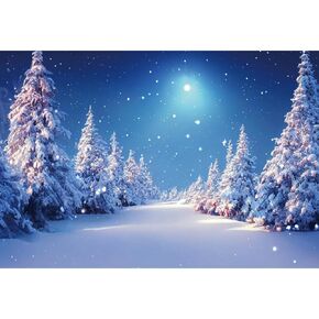 Laeacco Winter Forest Backdrop 15x10FT Winter Snowy Scene Photography Background Wonderland Night Xmas Pine Trees Christmas Newborn Baby Shower Birthday Party Decor Banner Photo Studio Shoot Props