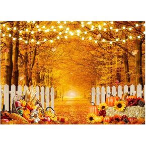 7X5FT Fall Photography Backdrop Fall Thanksgiving Backdrop Autumn Pumpkin Harvest Backdrop Thanksgiving Party Decorations Backdrop XY80