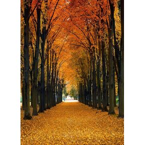10x10FT Maple Leaves Backdrop Fall Yellow Tunnel Scenery Tree Autumn Street Road Backdrop Vinyl for Thanksgiving Weddding Travel Shoot Party Portrait Studio Props Dacoration Background
