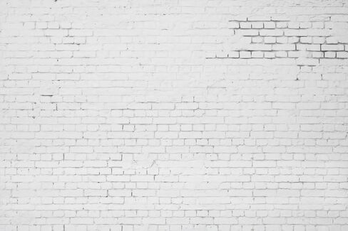 White Brick Wall Backdrop for Photography 10x8ft Brick Photo Backdrop White Brick Wall Background Birthday Party Baby Shower Video Backdrop Kids Adults Portrait Video Conferencing Banner in Saudi Arabia