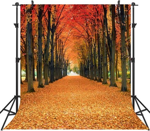 10x10FT Maple Leaves Backdrop Fall Yellow Tunnel Scenery Tree Autumn Street Road Backdrop Vinyl for Thanksgiving Weddding Travel Shoot Party Portrait Studio Props Dacoration Background in Saudi Arabia