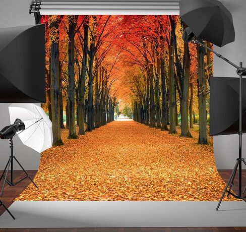 10x10FT Maple Leaves Backdrop Fall Yellow Tunnel Scenery Tree Autumn Street Road Backdrop Vinyl for Thanksgiving Weddding Travel Shoot Party Portrait Studio Props Dacoration Background in Saudi Arabia