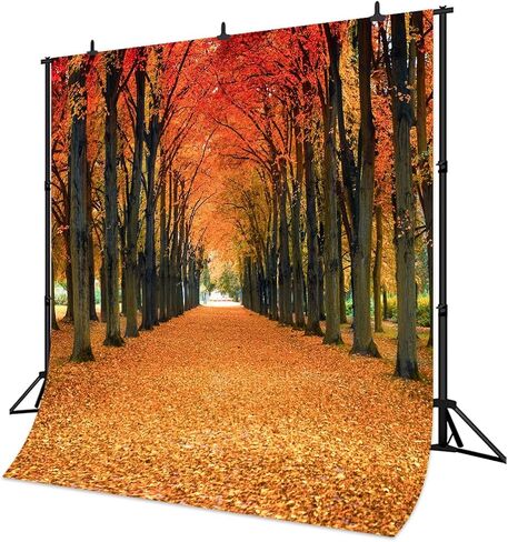 10x10FT Maple Leaves Backdrop Fall Yellow Tunnel Scenery Tree Autumn Street Road Backdrop Vinyl for Thanksgiving Weddding Travel Shoot Party Portrait Studio Props Dacoration Background in Saudi Arabia