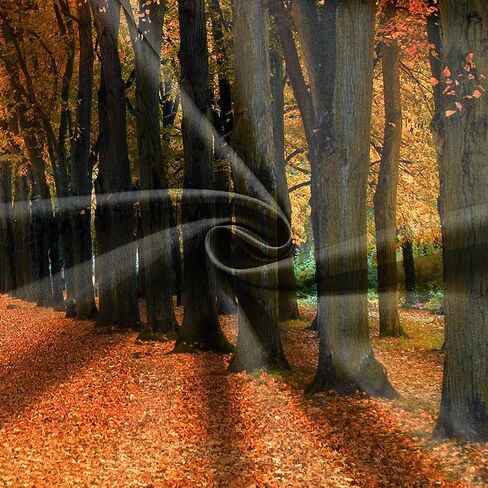 10x10FT Maple Leaves Backdrop Fall Yellow Tunnel Scenery Tree Autumn Street Road Backdrop Vinyl for Thanksgiving Weddding Travel Shoot Party Portrait Studio Props Dacoration Background in Saudi Arabia