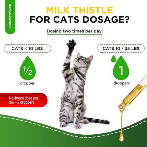 Milk Thistle for Dogs | Liver Support for Dogs | Kidney Support for Dogs | Dog Milk Thistle | Dog Liver Support | Dog Cough | UTI for Dogs | Dog Liver Supplement | 2 Oz in Saudi Arabia