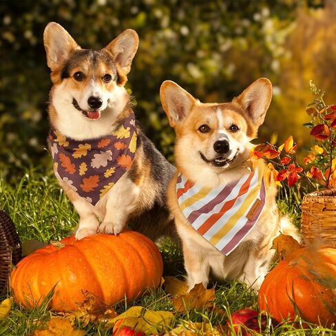 Vehomy 3-Pack Halloween Dog Bandana Pet Halloween Bandanas Reversible Dog Cat Halloween Bandanas Triangle Scarfs Bibs with Spiders Bats Pumpkins Patterns for Puppy Kitten Small Medium Large Dogs in Kuwait