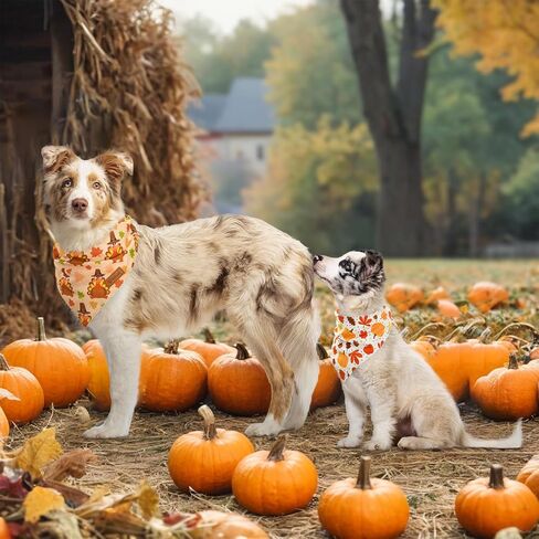 Vehomy 3-Pack Halloween Dog Bandana Pet Halloween Bandanas Reversible Dog Cat Halloween Bandanas Triangle Scarfs Bibs with Spiders Bats Pumpkins Patterns for Puppy Kitten Small Medium Large Dogs in Kuwait