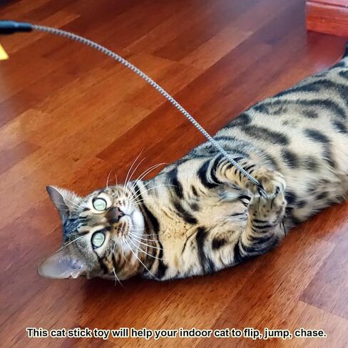 Cat Wand Toys,3Pcs Circular Patterned Ribbon Wand Toys for Cats and Kittens,Interactive Cat Toy Kitten Toy for Indoor Cats to Play Chase Exercis. in Saudi Arabia