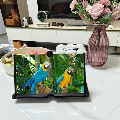 12"Screen Magnifier Amplifier,3D HD Mobile Phone Magnifier Projector Screen for Movies,Videos,and Gaming.Foldable Mobile Phone Holder with Screen Magnifier,Supports All Smartphones,A Smart Gift（Black) in Saudi Arabia
