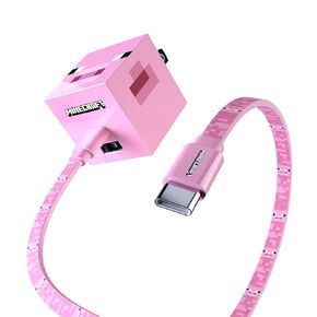 LIQUIPEL Powertek Minecraft Charging Bundle USB-C to C Cable and Wall Charger (Enderman)