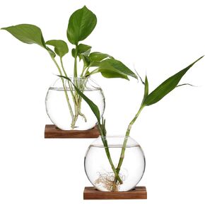 Kisangel 2 Pieces Plants Propagation Stations Glass Planters with Wooden Tray, Desktop Plant Terrarium for Hydroponic Plants Home Office Desktop Decor