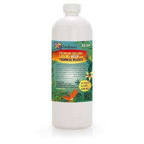 Organic Kelp Fertilizer for Succulents and Cacti by Gardenera - 8 oz - Nourish Your Succulent and Cactus with Liquid Kelp Power