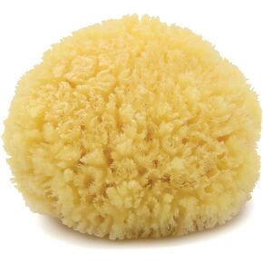 Neptune Natural Caribbean Sea Sponge - All Natural Renewable Sea Sponge (5 inch)