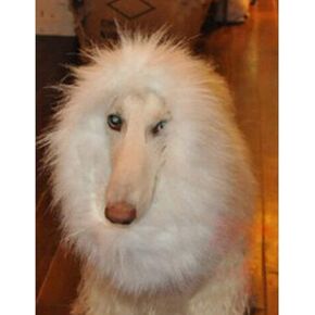 Lion Mane for Dog Pet Costume Without Lion Tail, Lion Wig for Halloween and Christmas Party Supplies (with Ears, White)