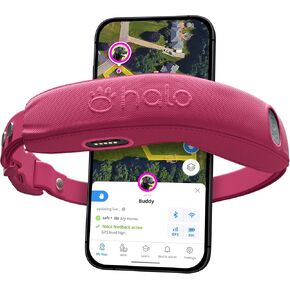 Halo Collar 4, All New GPS Wireless Dog Fence & Training Collar with Real-Time Tracking, Waterproof, One Size (4 Colors)