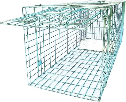 Folding Large Collapsible Humane Live Animal Cage Trap No-Kill Trapping Kit for Humane Catch Release Rabbits, Stray Cat, Squirrel, Raccoon, All Fit Sized Animals, Heavy Duty, 2-Doors 32"x11.5"x12.5" in Saudi Arabia