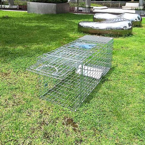 Folding Large Collapsible Humane Live Animal Cage Trap No-Kill Trapping Kit for Humane Catch Release Rabbits, Stray Cat, Squirrel, Raccoon, All Fit Sized Animals, Heavy Duty, 2-Doors 32"x11.5"x12.5" in Saudi Arabia