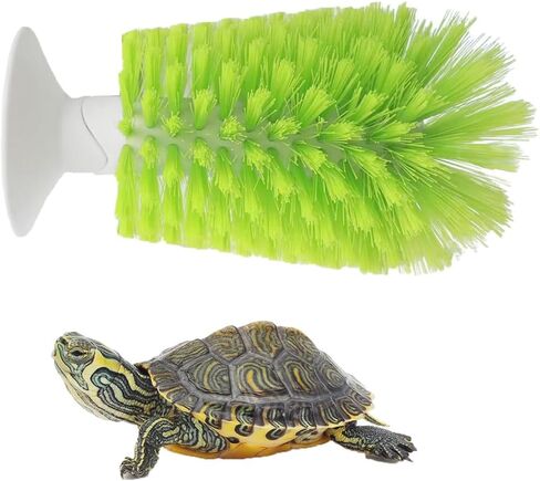 Turtle Brush with Suction Cup for Tank Scratches Back Brush Shell Cleaning Brush Scrub Red Eared Slider Turtle Exfoliate Brush for Remove Turtle Shell Scutes (Green) in Saudi Arabia